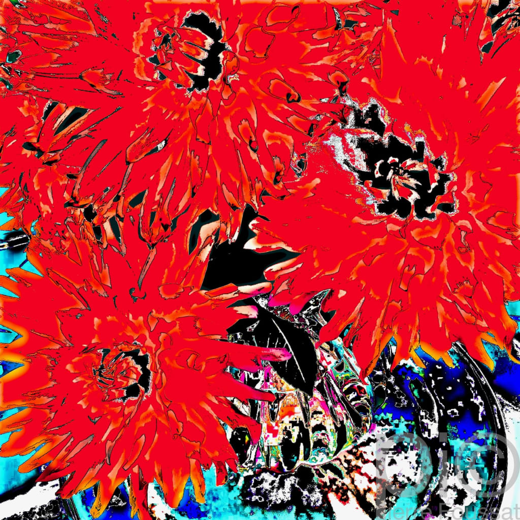 DSC 7402 V5-2019