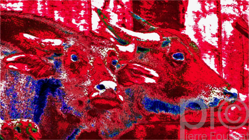 DSC 1863-2016