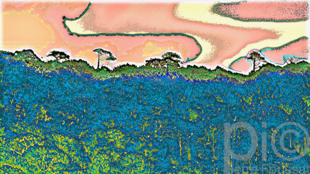 DSC7354 V6 -2020