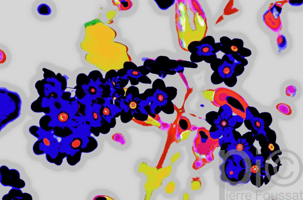 DSC 4387 V5-2013