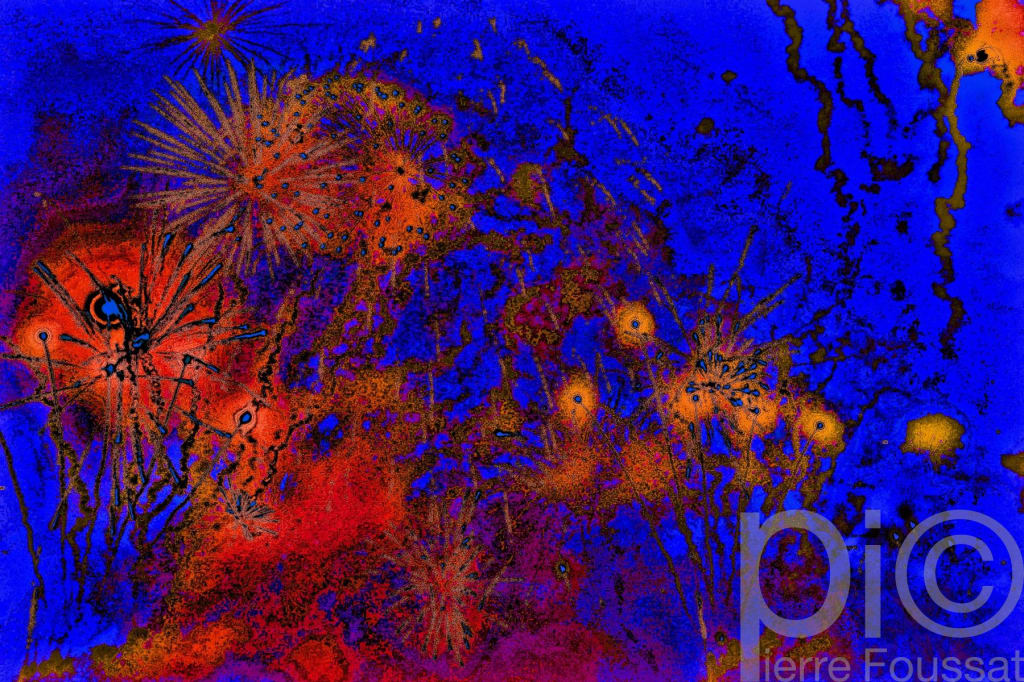 DSC 4010 V5 -2019
