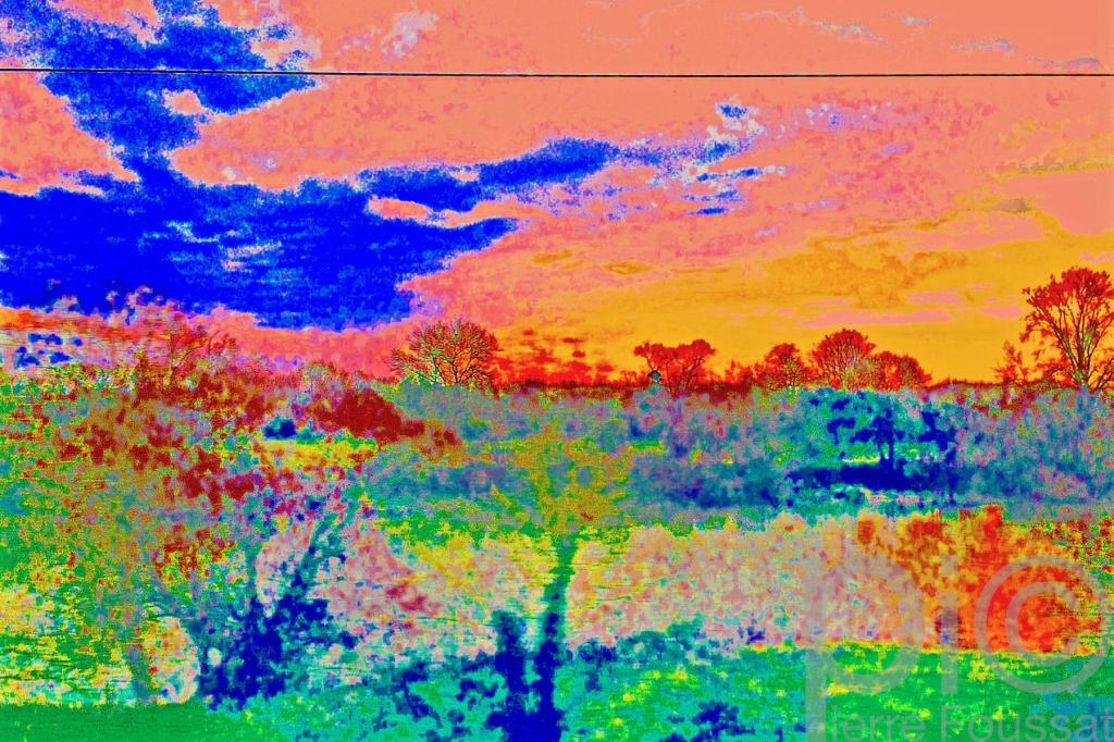 DSC 3198-2016
