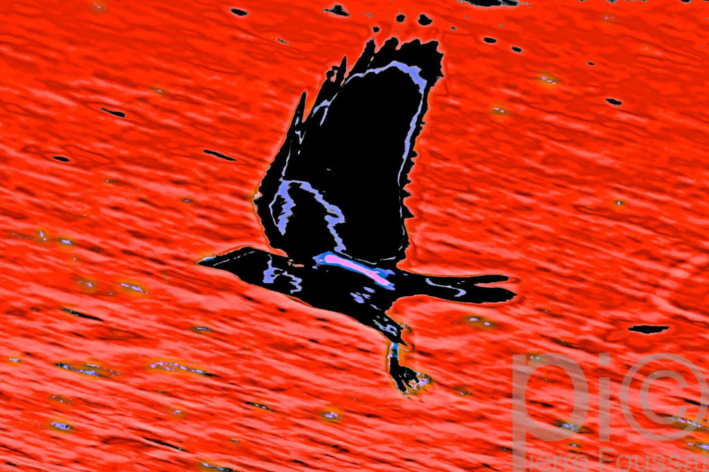 DSC 5651 V2-