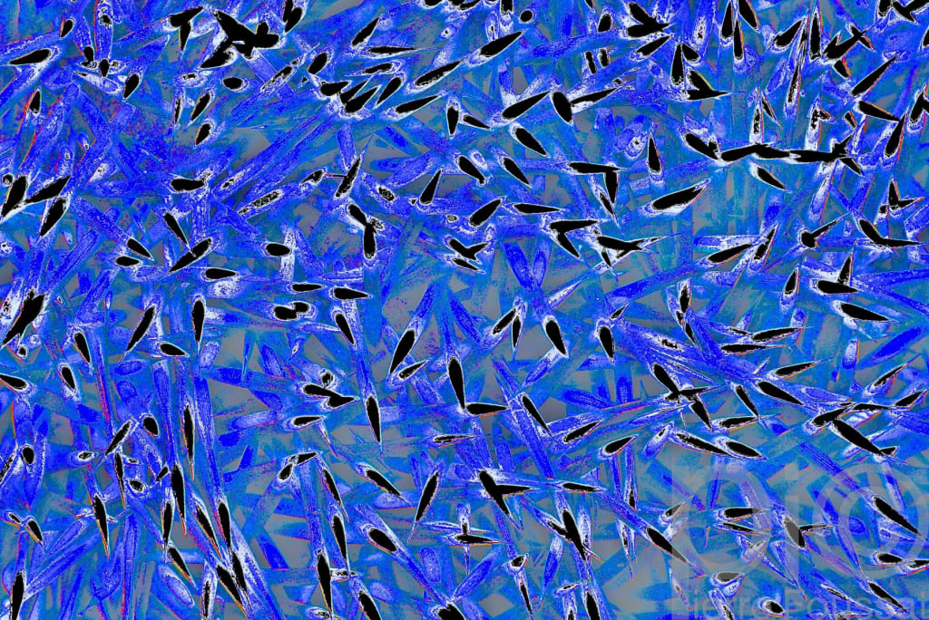 DSC 8812-2014