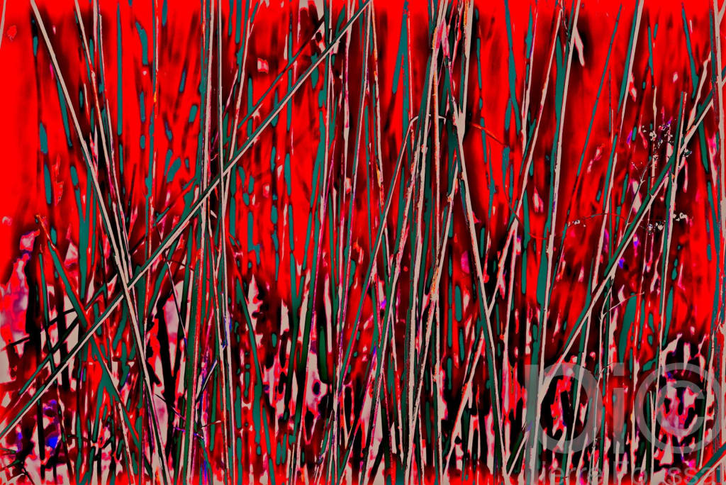 DSC 1604-2015