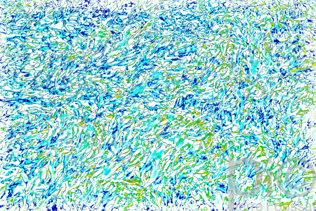 DSC 6640 V3-2016