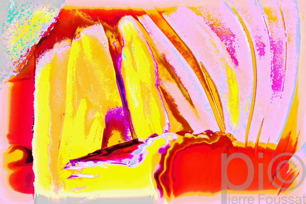 DSC 1151