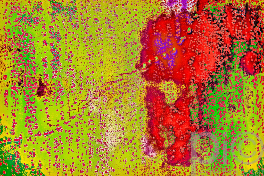DSC 0658-2016