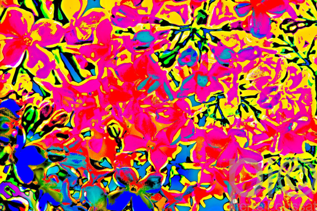 IMG 8408 V3-2020