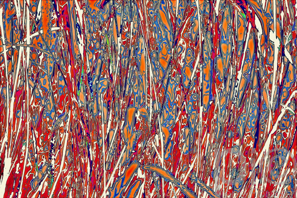 DSC 6585 V5-2019