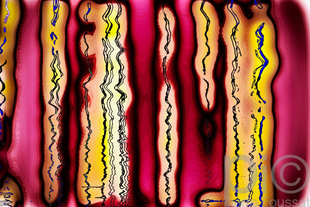 DSC 2647 V11-2010