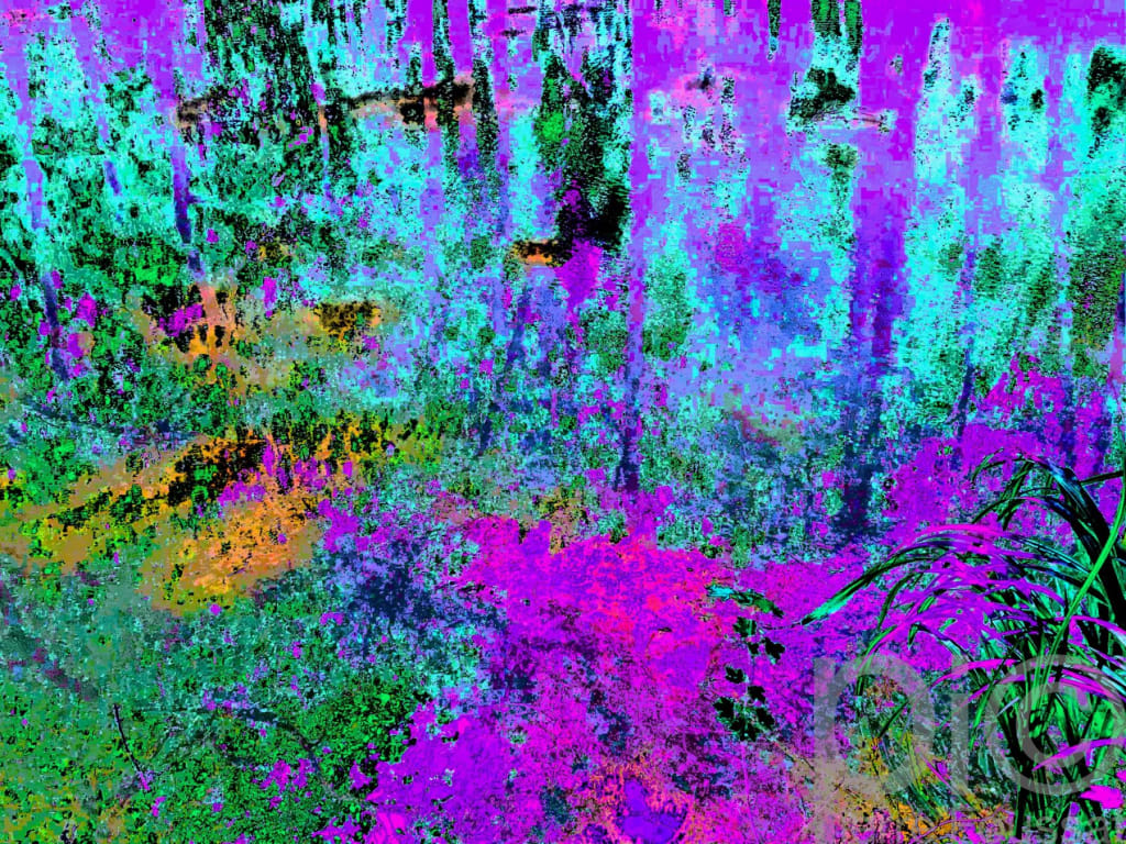 IMG 8825 -2020