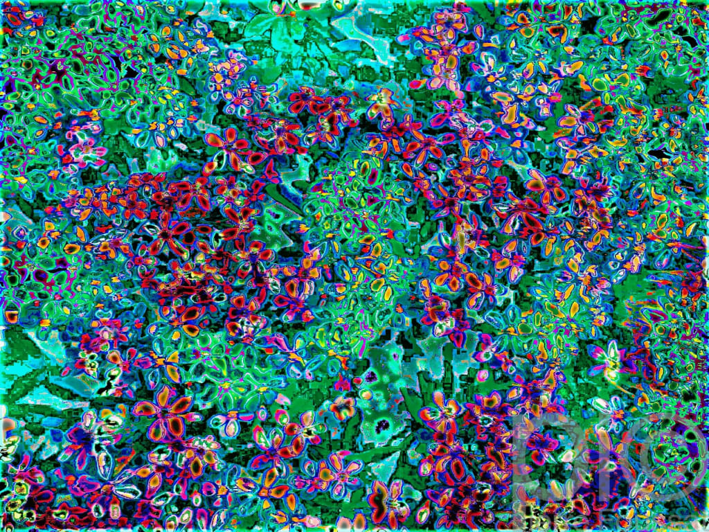 IMG 8687 V11 -2020
