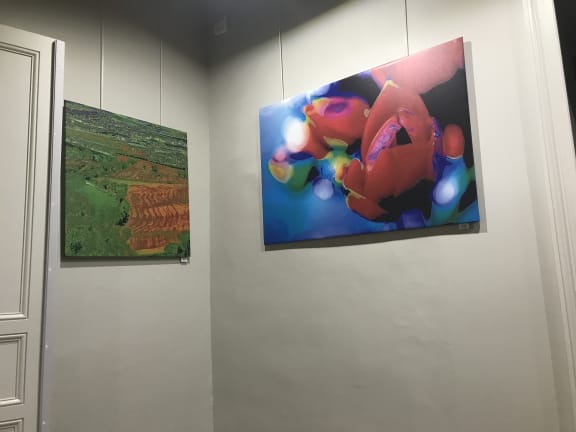Image 1 de l'événement : Exposition Saint Felix Lauragais