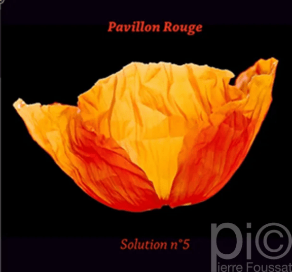 Image 7 de l'événement : Jaquettes CD 