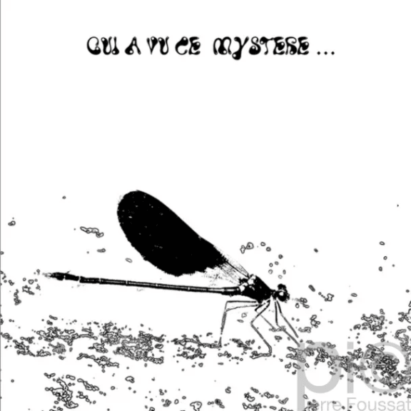 Image 0 de l'événement : Jaquettes CD 